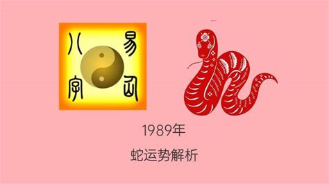 1989年出生属什么|1989年出生属什么生肖 1989年属蛇是什么命